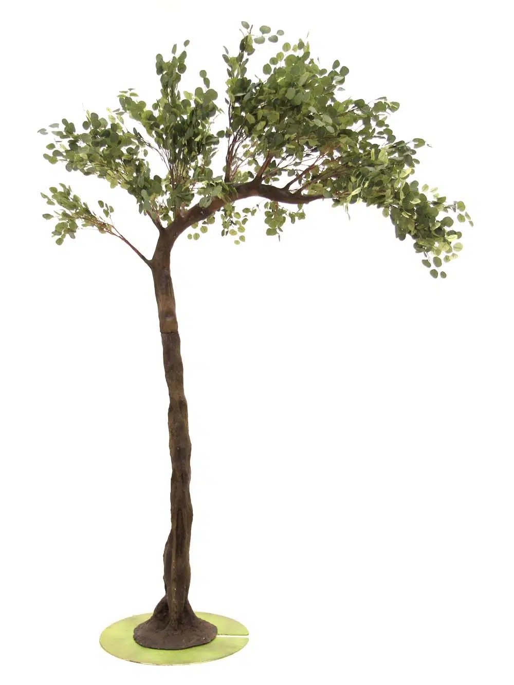 SN10148_Eucalyptus Half Arch Tree_event_prop_hire_EPH_creative_525_optimised