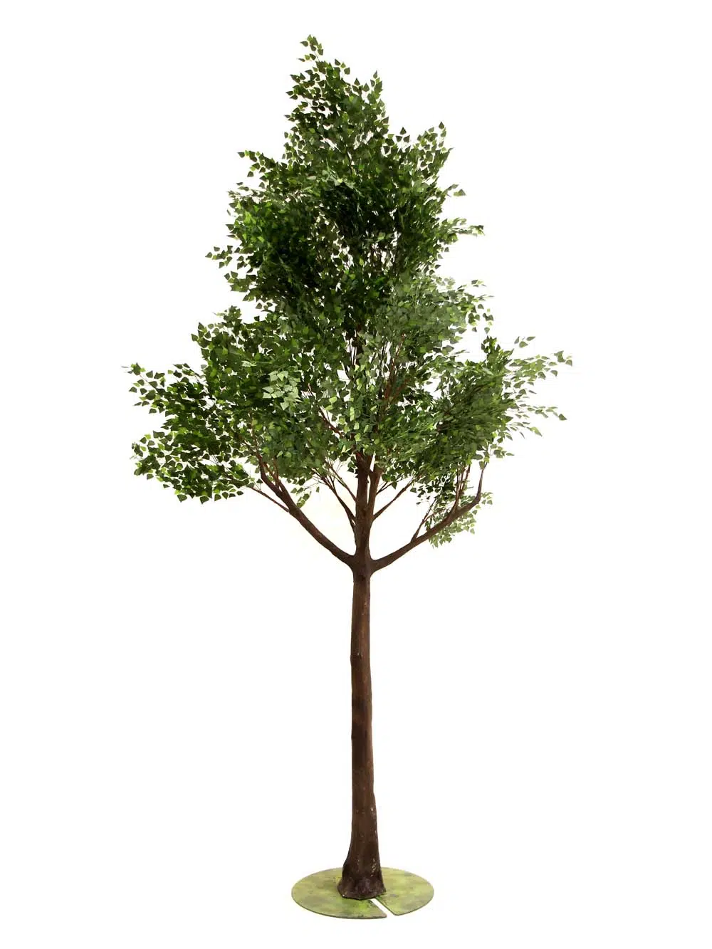 SN10156_Brown Birch Giant 5m Tree_event_prop_hire_EPH_creative_451_optimised