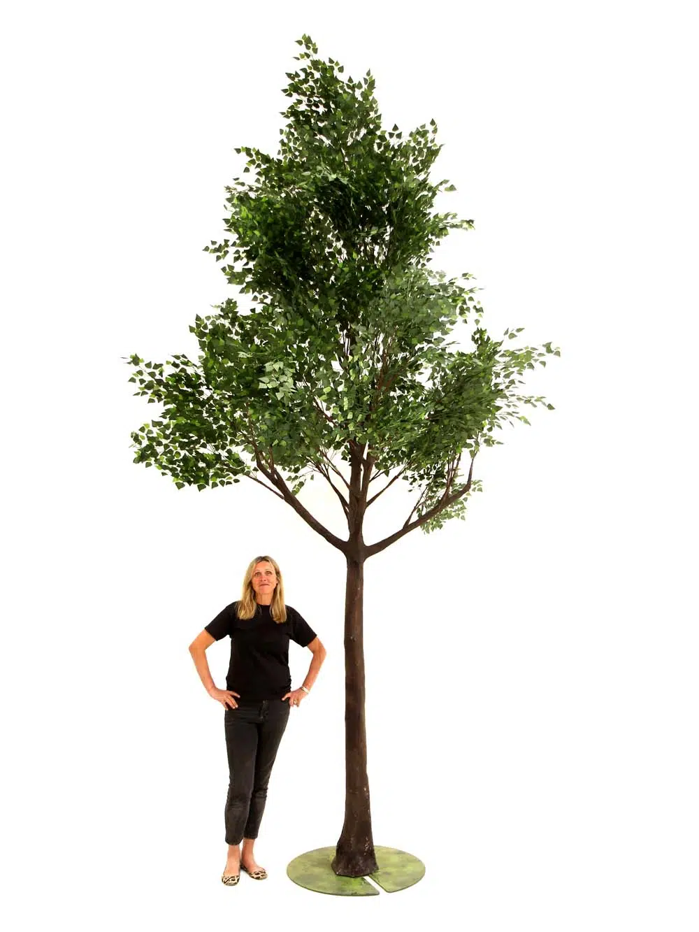 SN10156_Brown Birch Giant 5m Tree_event_prop_hire_EPH_creative_459_optimised