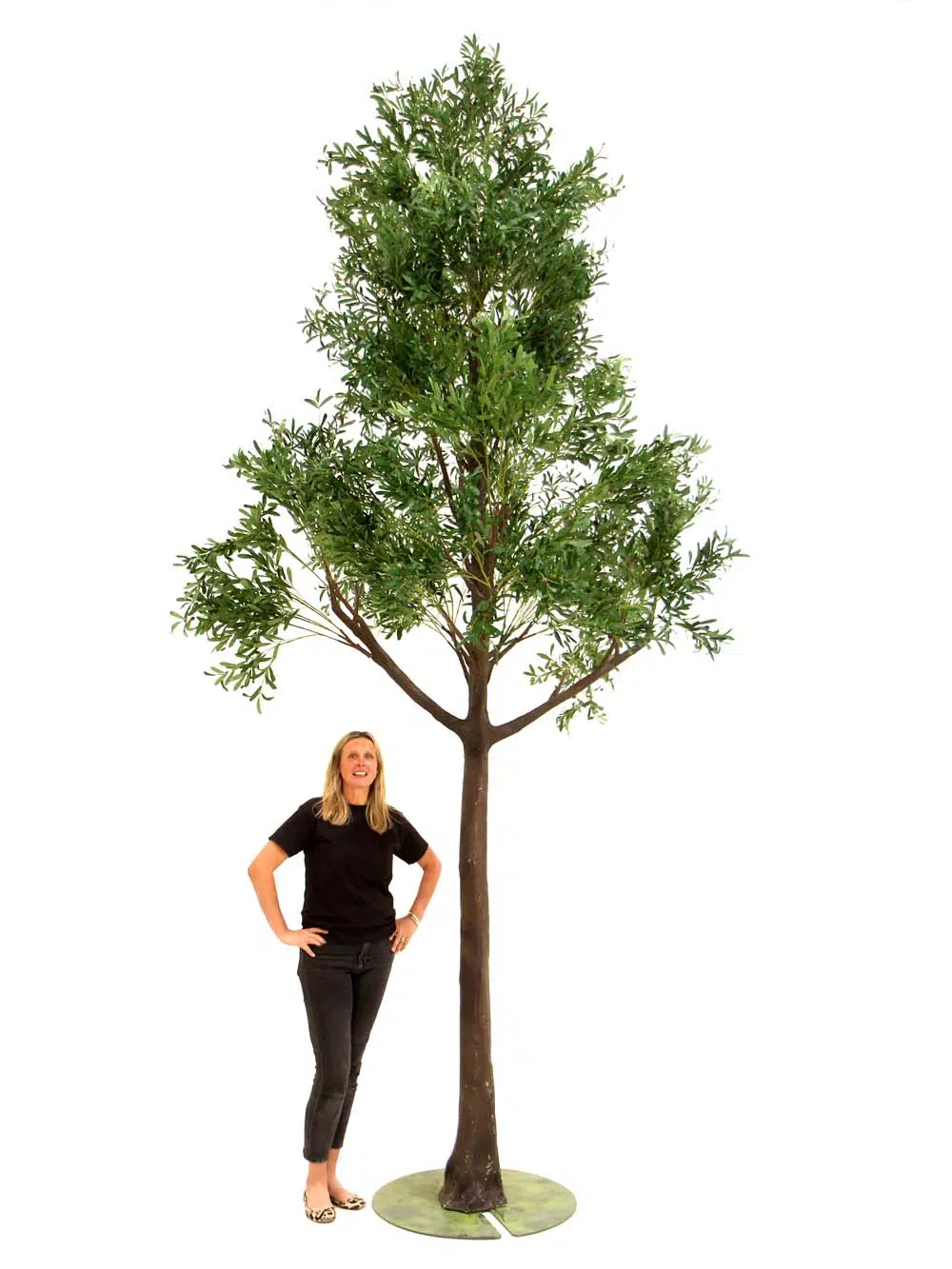 SN10159_Olive Giant 5m Tree_event_prop_hire_EPH_creative_485_optimised