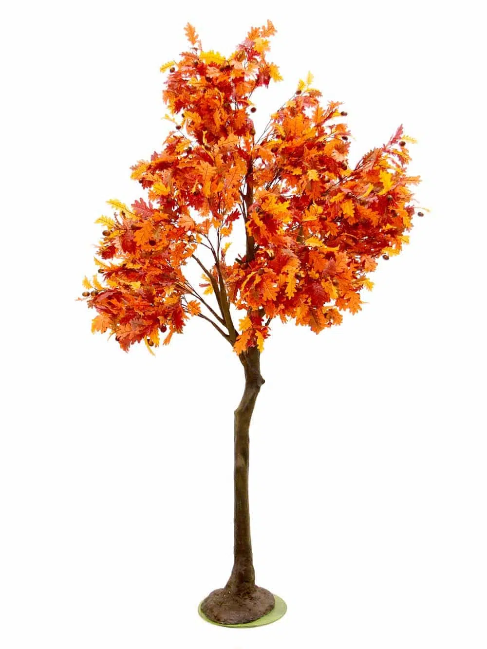SN10165 _Autumn Oak Tree (3.5m - Tall Trunk)_event_prop_hire_EPH_Creative_59_optimised