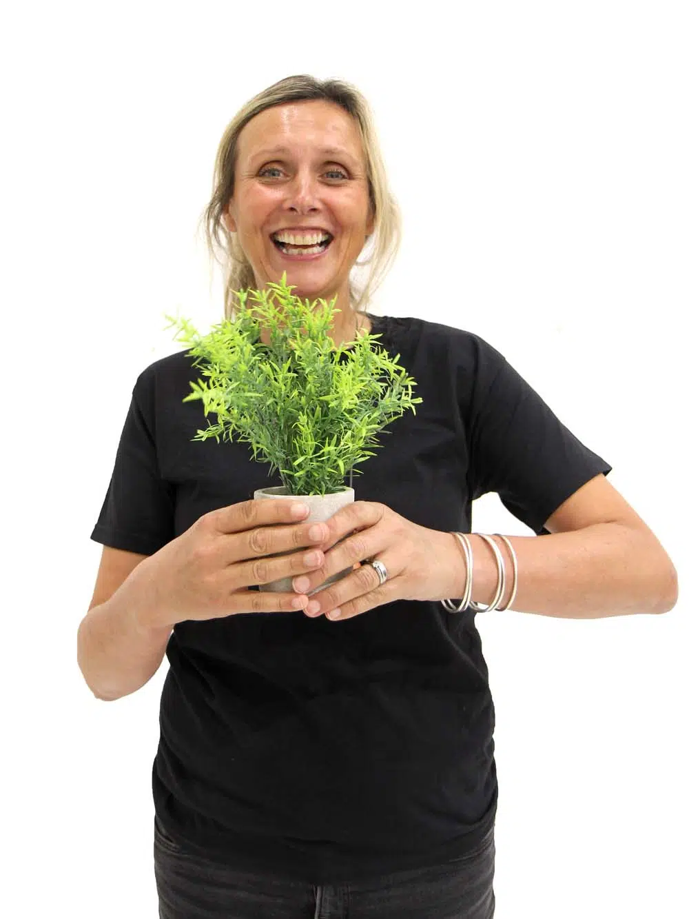 SN10239_Rosemary Bush in Pot - Small_event_prop_hire_EPH_Creative_6