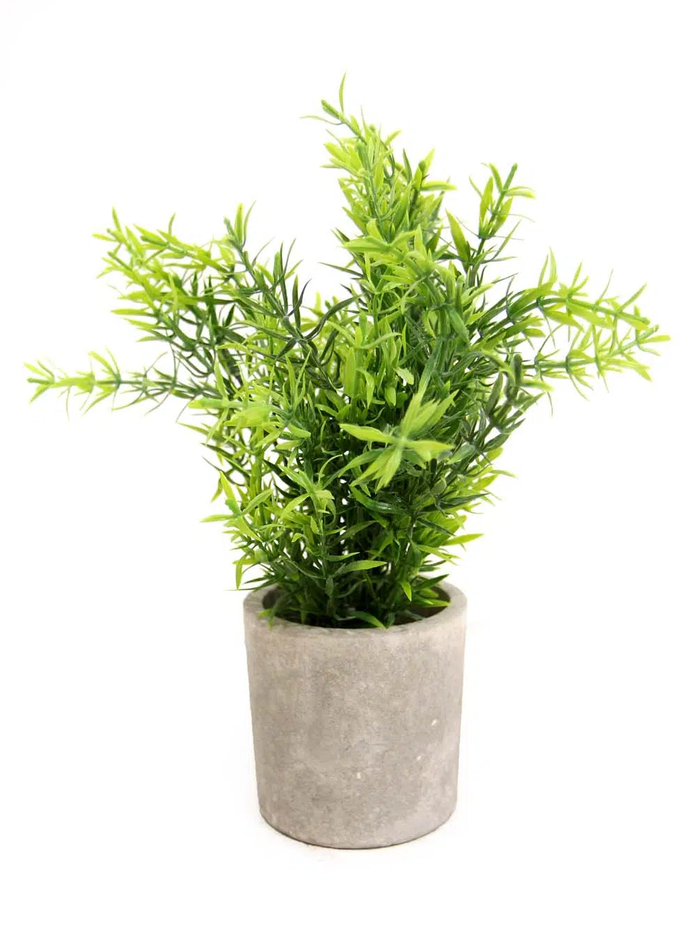 SN10239_Rosemary Bush in Pot - Small_event_prop_hire_EPH_Creative_9