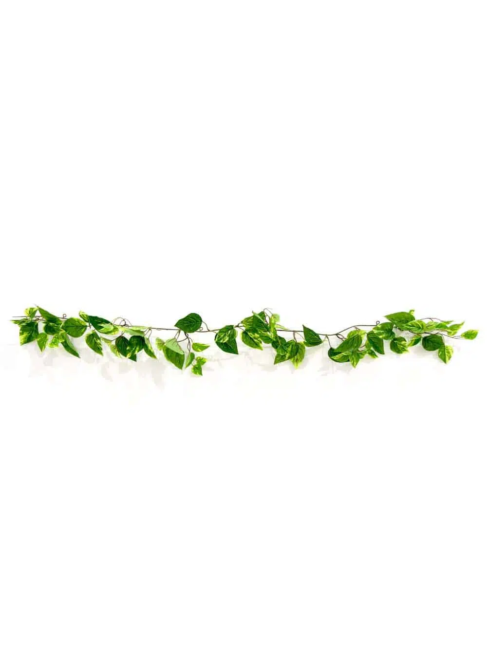 SN10277_Jungle Vine (1.5m) (Set of 5)_event_prop_hire_EPH_Creative_9_optimised