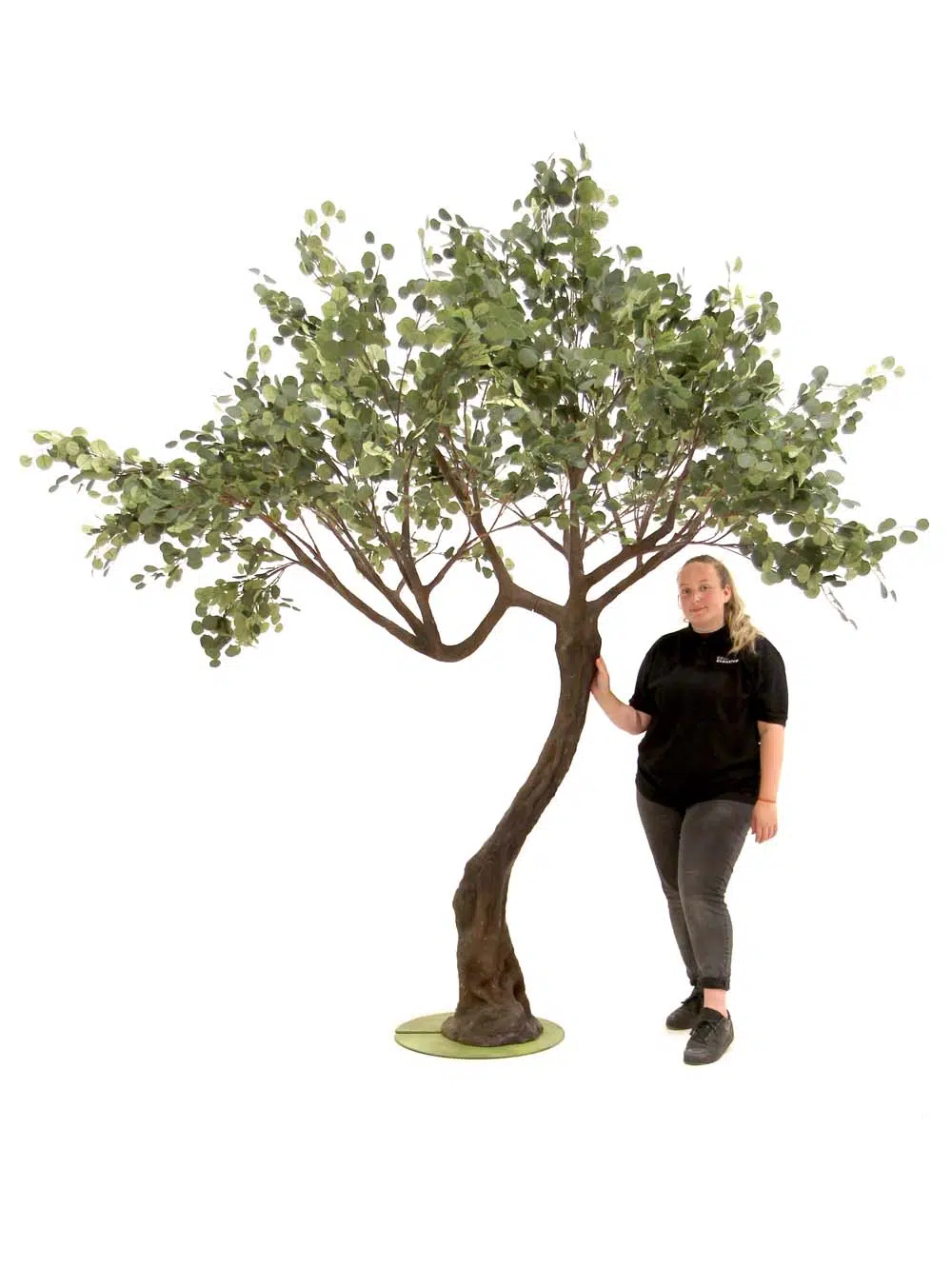 SN6987_Twisted Trunk Eucalyptus tree_event_prop_hire_EPH_creative_336_optimised
