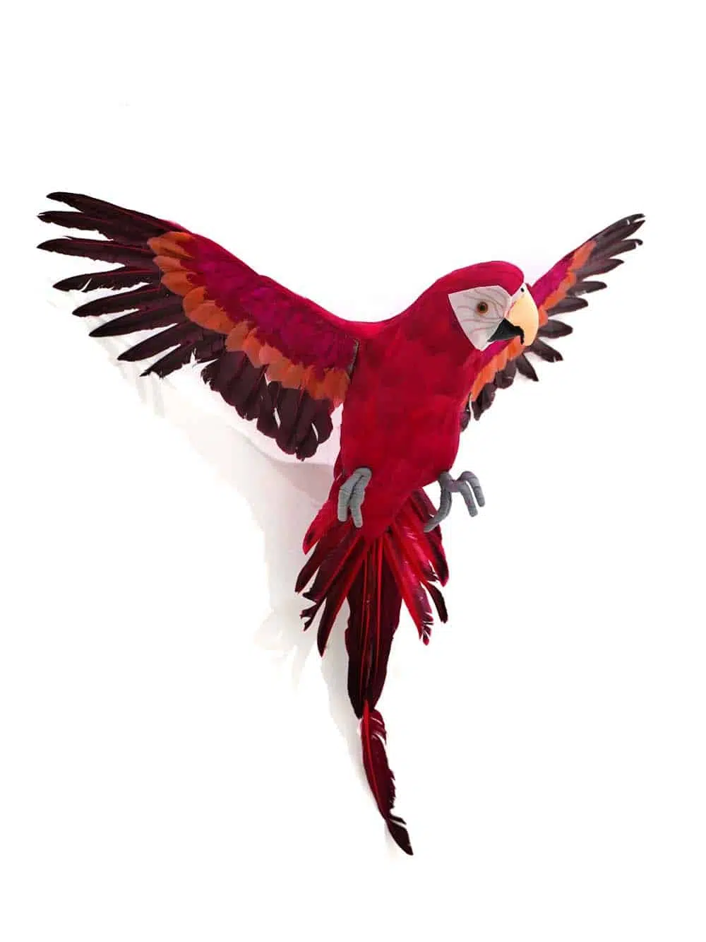SN9398 _Flying Parrot - Red - Large_event_prop_hire_EPH_Creative_509 copy _optimised