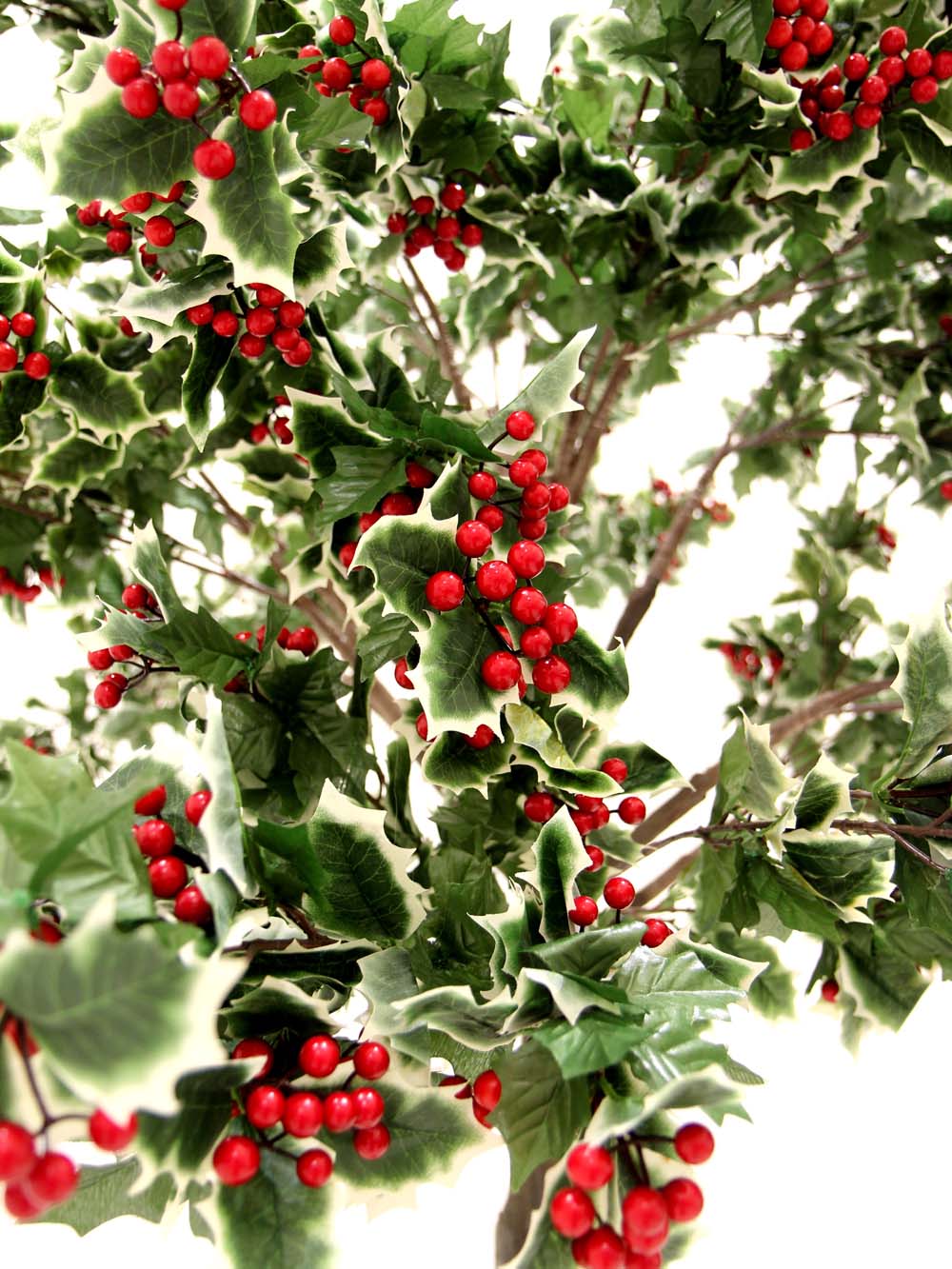 SN10122_Holly Medium Trunk Tree_event_prop_hire_EPH_Creative_6_optimised