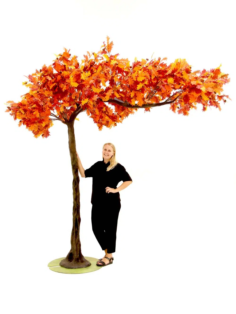 SN10133_Autumn Oak Canopy tree_event_prop_hire_EPH_creative_208_optimised