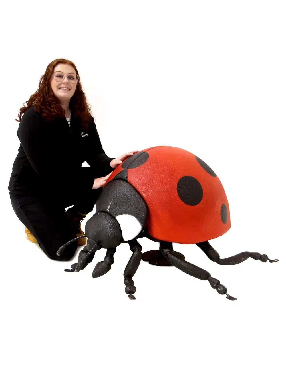 SN10523 _Giant Ladybird_event_prop_hire_EPH_Creative_6_optimised