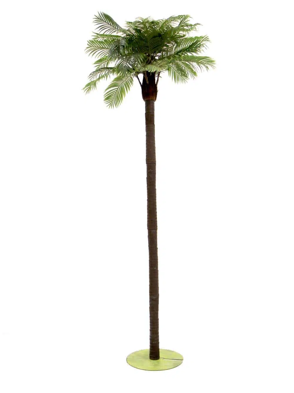 SN10368_Tall Palm Tree (3.2m)_event_prop_hire_EPH_Creative_0_optimised