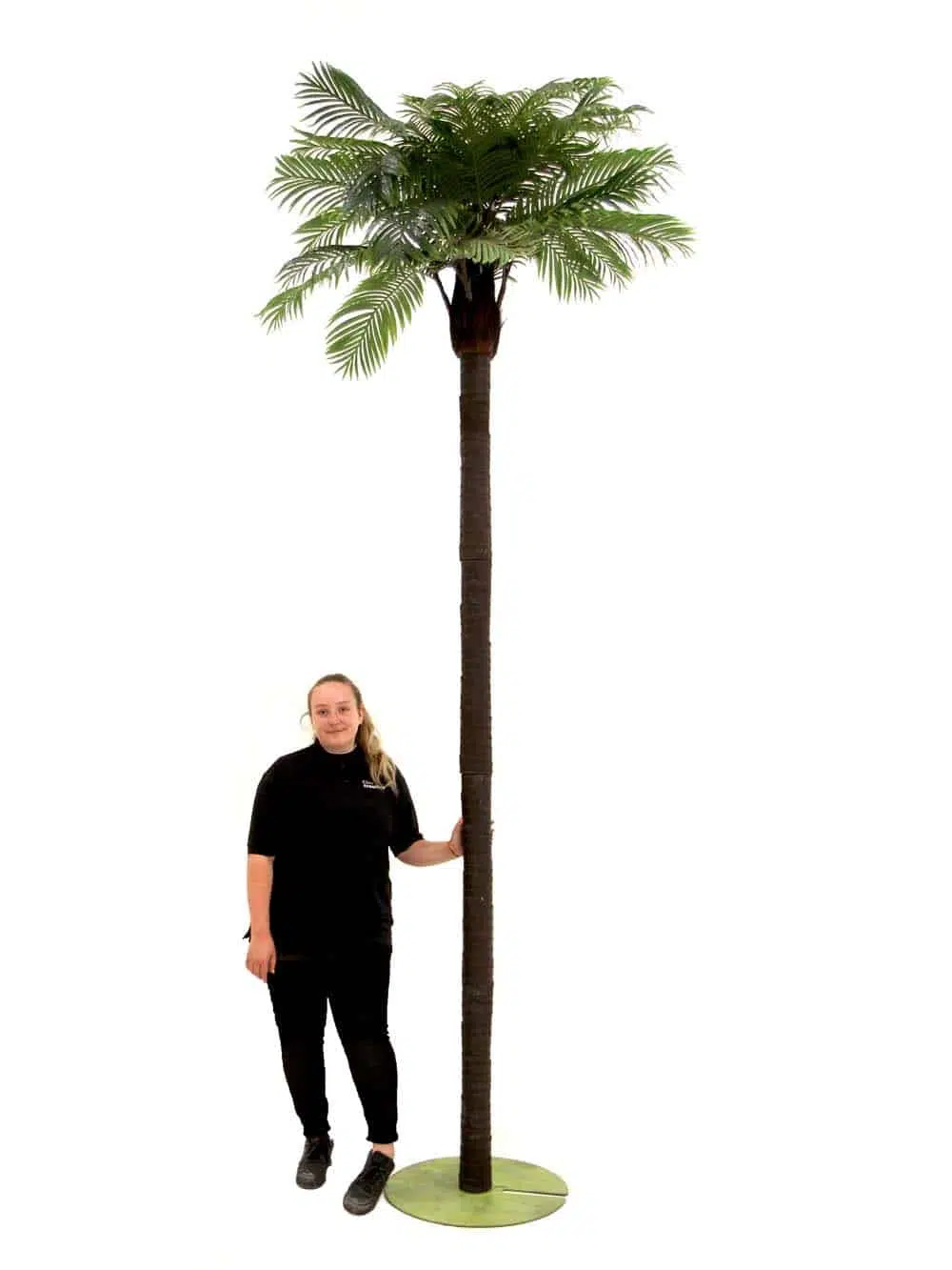 SN10368_Tall Palm Tree (3.2m)_event_prop_hire_EPH_Creative_7_optimised