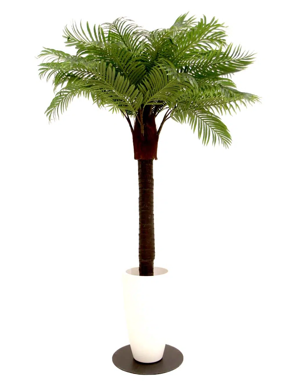 SN10411_Short Palm Tree with White Container_event_prop_hire_EPH_Creative_8_optimised