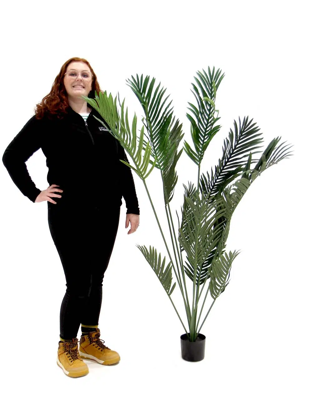 SN10790_Paradise Palm Plant_event_prop_hire_EPH_Creative_9_optimised