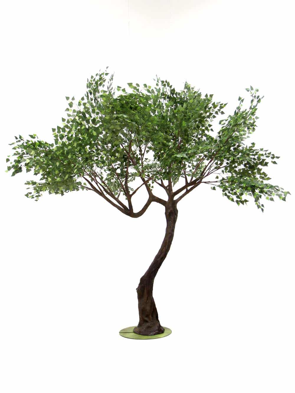 SN10139_Brown Birch Twisted Tree Trunk (2.9m)_event_prop_hire_EPH_Creative_20_optimised