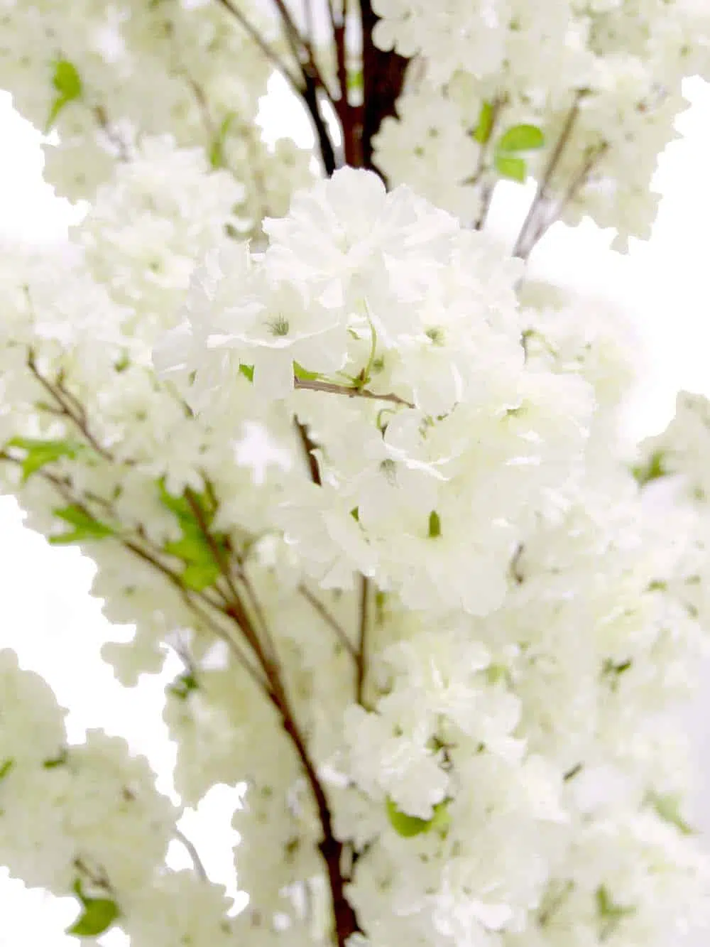 SN11034_Interchangeable Archway - Cream Blossom (2.8m)_event_prop_hire_EPH_Creative_4_optimised