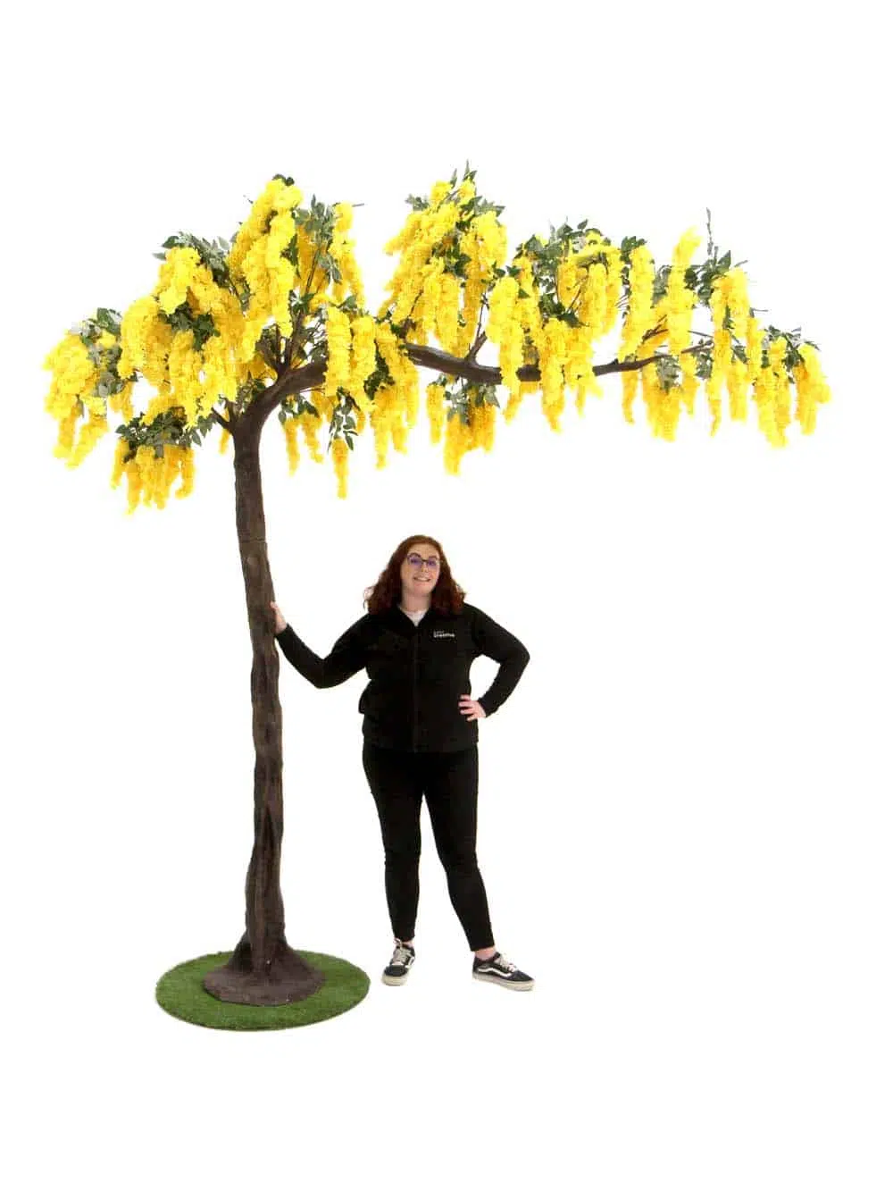SN11183_Canopy Tree (3m) - Yellow Wisteria_event_prop_hire_EPH_Creative_6