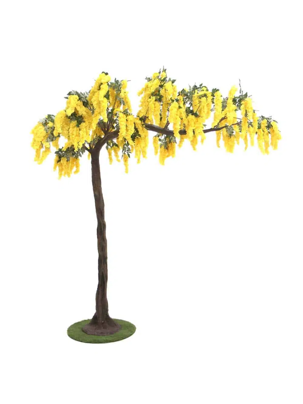 SN11183_Canopy Tree (3m) - Yellow Wisteria_event_prop_hire_EPH_Creative_8