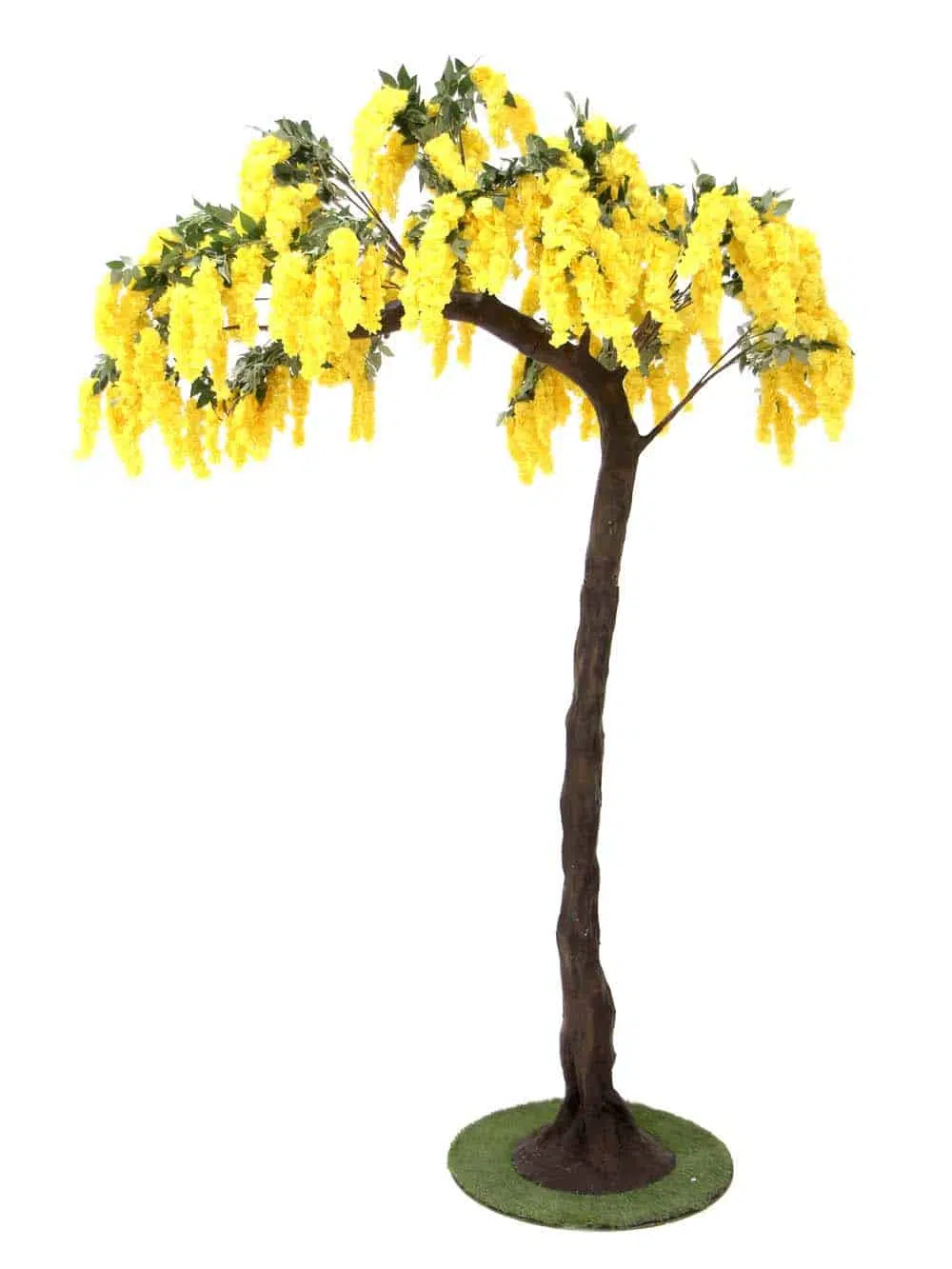 SN11184_Half Arch Tree (3.2m) - Yellow Wisteria_event_prop_hire_EPH_Creative_5