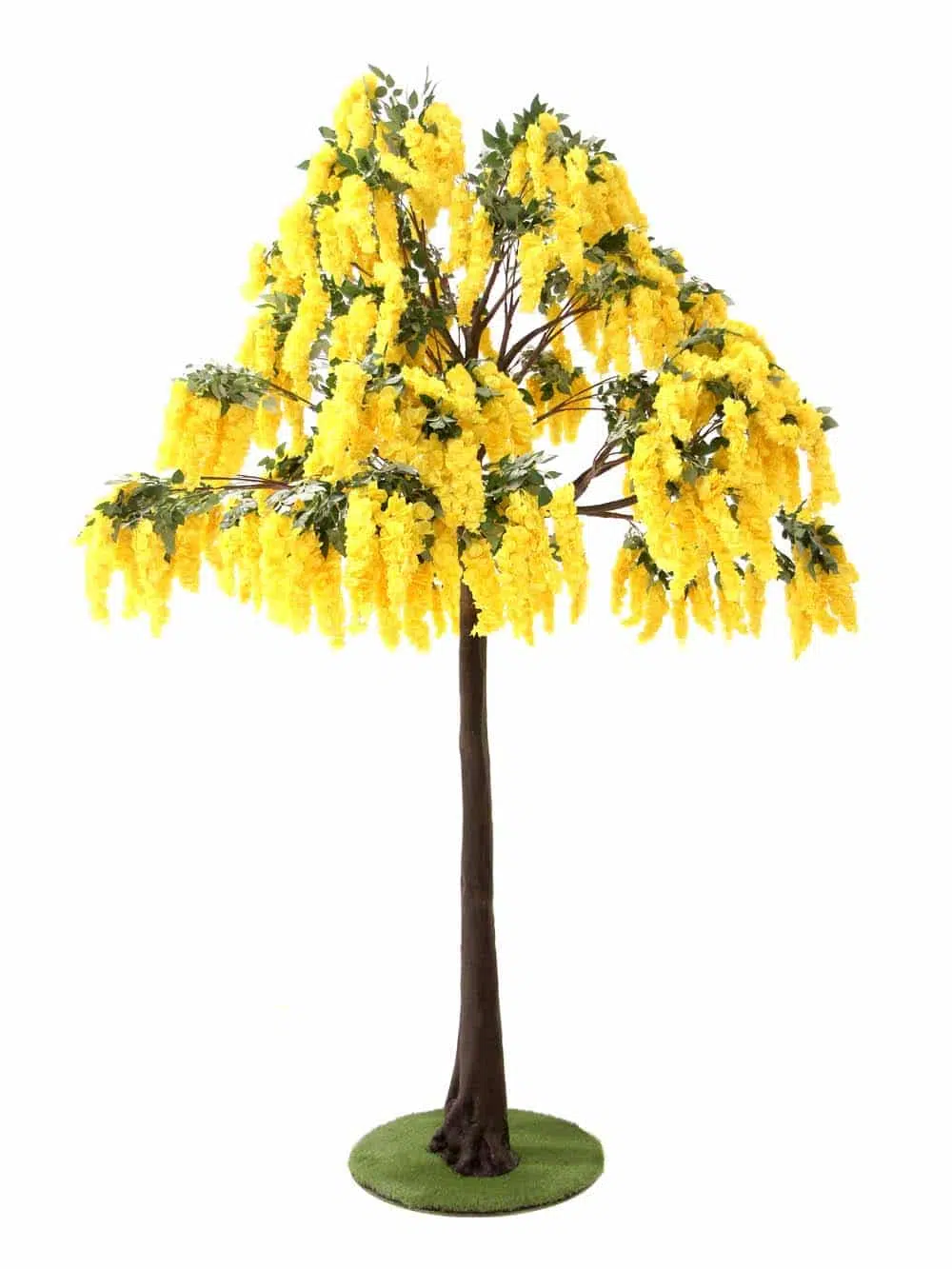 SN11187 _Extra Tall Trunk Tree (3.8m) - Yellow Wisteria_event_prop_hire_EPH_Creative_9