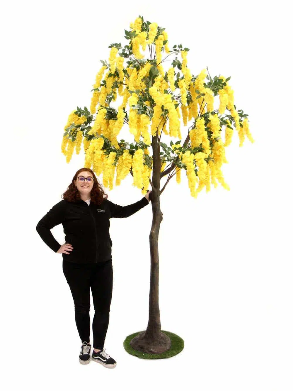 SN11189 _Tall Trunk Tree (3.5m) - Yellow Wisteria_event_prop_hire_EPH_Creative_6