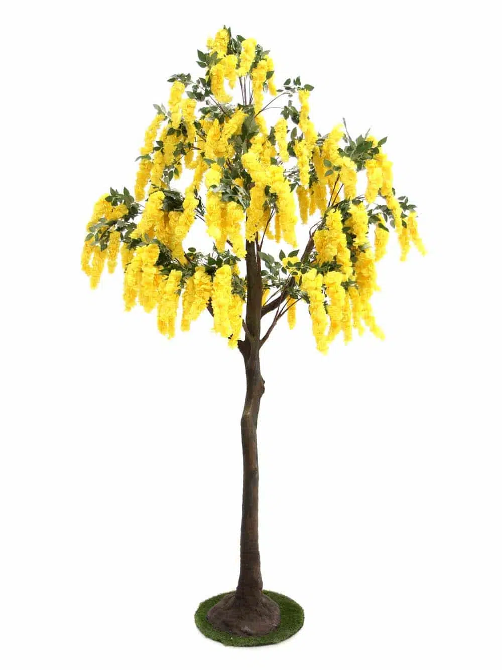 SN11189 _Tall Trunk Tree (3.5m) - Yellow Wisteria_event_prop_hire_EPH_Creative_8