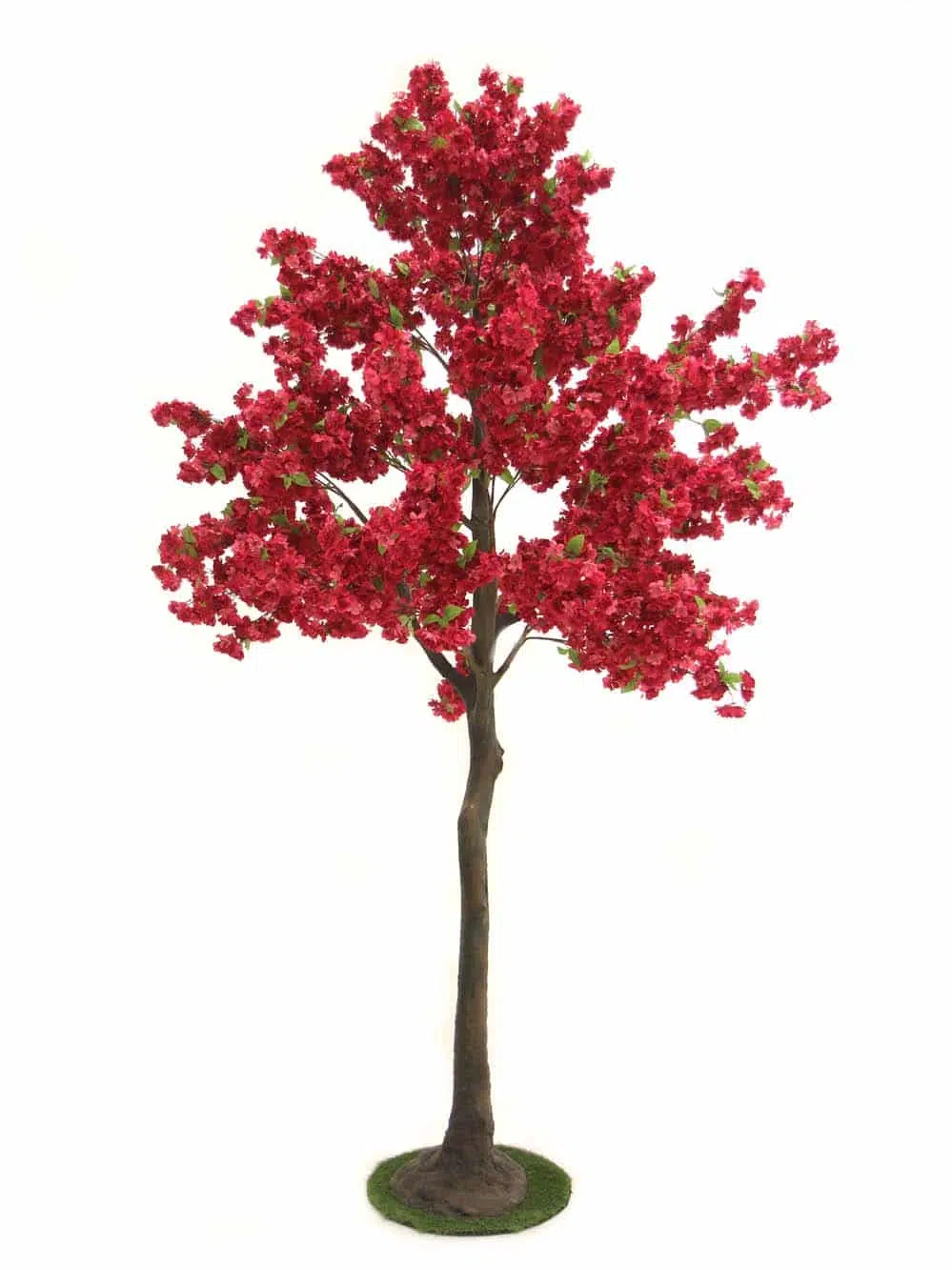 SN11203 Tall Trunk Tree - Cerise Blossom (1)
