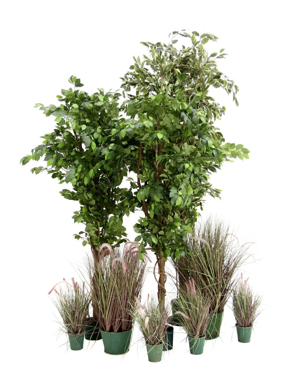 SN11367 _Foliage Package - Enchanted Garden #2_event_prop_hire_EPH_Creative_7_optimised