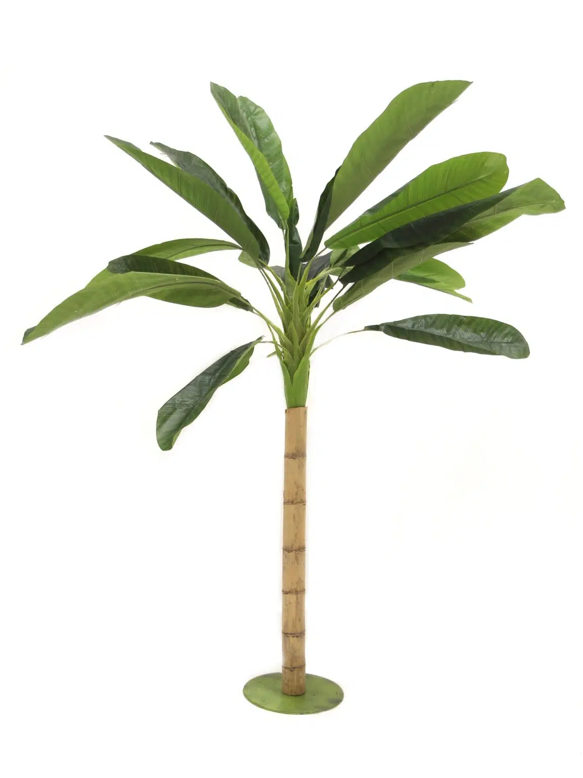 SN4454_Medium Banana Palm Tree (2.7m)_event_prop_hire_EPH_Creative_7 copy