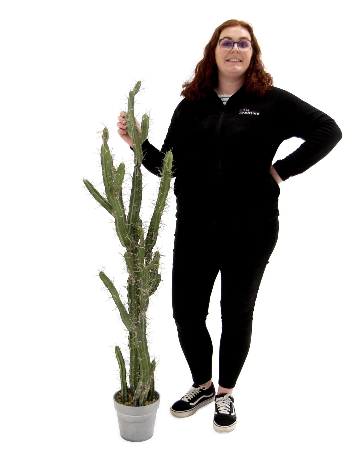 SN11467 _Cactus - 1.4m_event_prop_hire_EPH_Creative_3_optimised