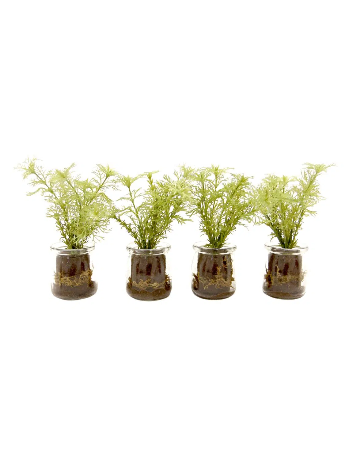 SN11470 _Dill in Glass Vase_event_prop_hire_EPH_Creative_5_optimised