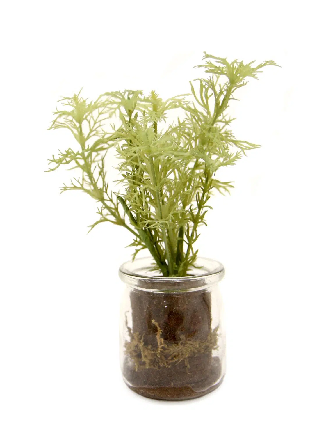 SN11470 _Dill in Glass Vase_event_prop_hire_EPH_Creative_7_optimised