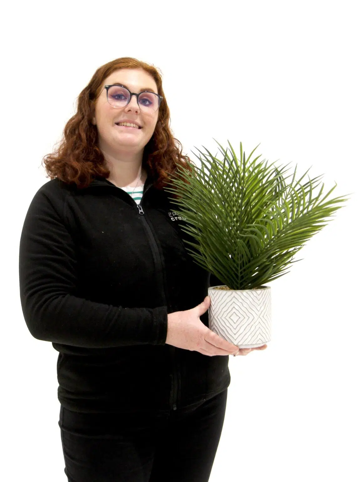 SN11471 _Fern in Pot_event_prop_hire_EPH_Creative_7_optimised