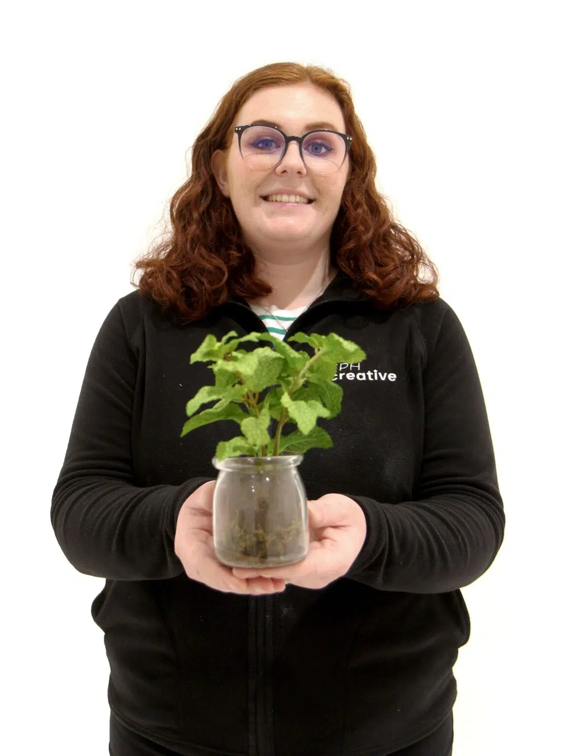 SN11477 _Mint in Glass Vase_event_prop_hire_EPH_Creative_4_optimised