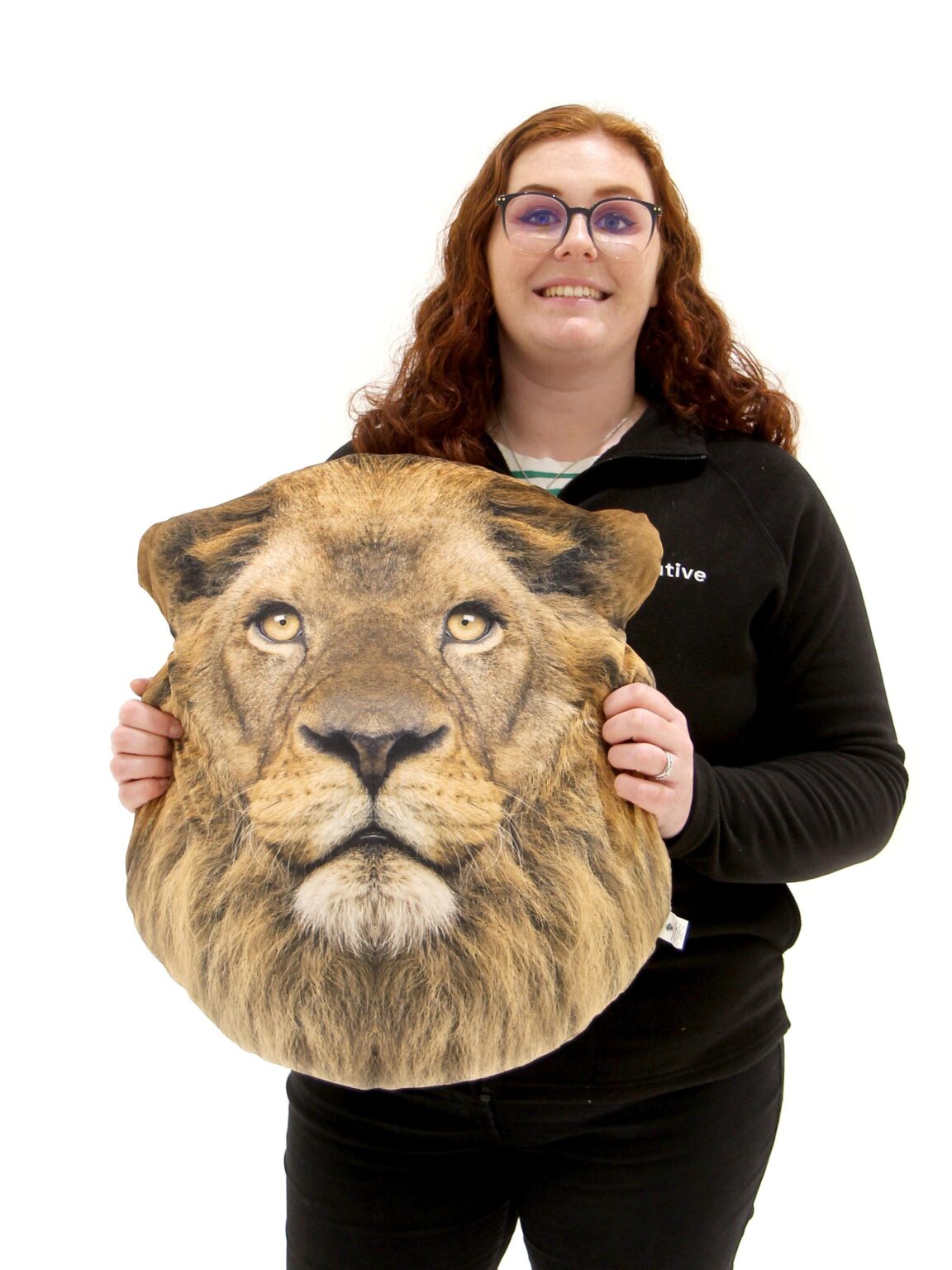 SN11606_Lion Cushion_event_prop_hire_EPH_Creative_3_optimised