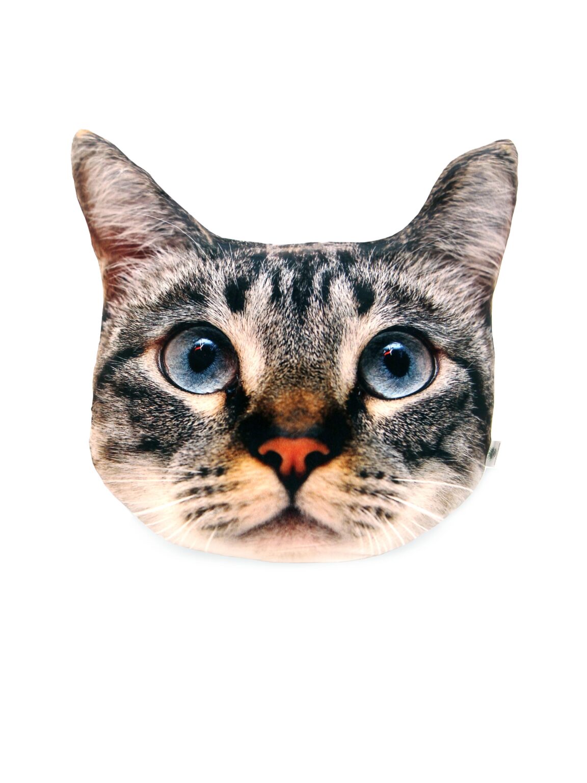 SN11608 _Cat Cushion_event_prop_hire_EPH_Creative_3_optimised