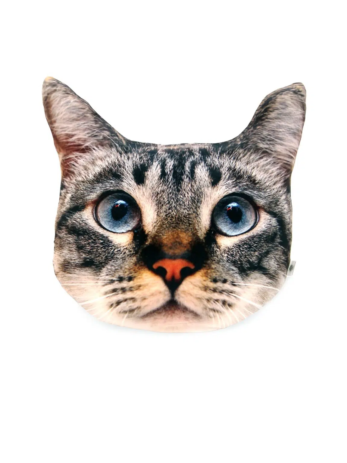 SN11608 _Cat Cushion_event_prop_hire_EPH_Creative_3_optimised