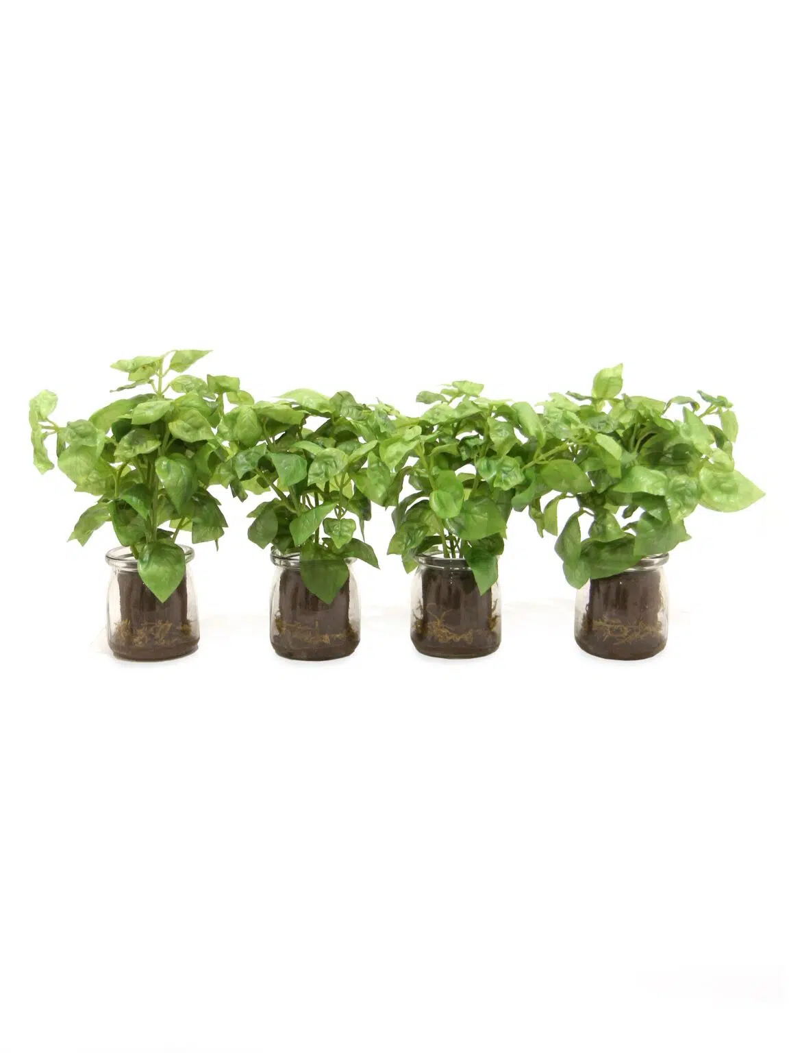 SN11621_Green Basil in Glass Vase - Set of 4_event_prop_hire_EPH_Creative_6_optimised
