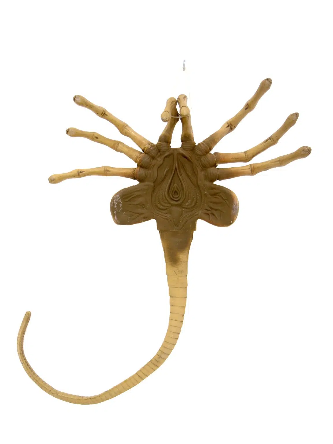 SN11885_Facehugger Alien__07319_optimised