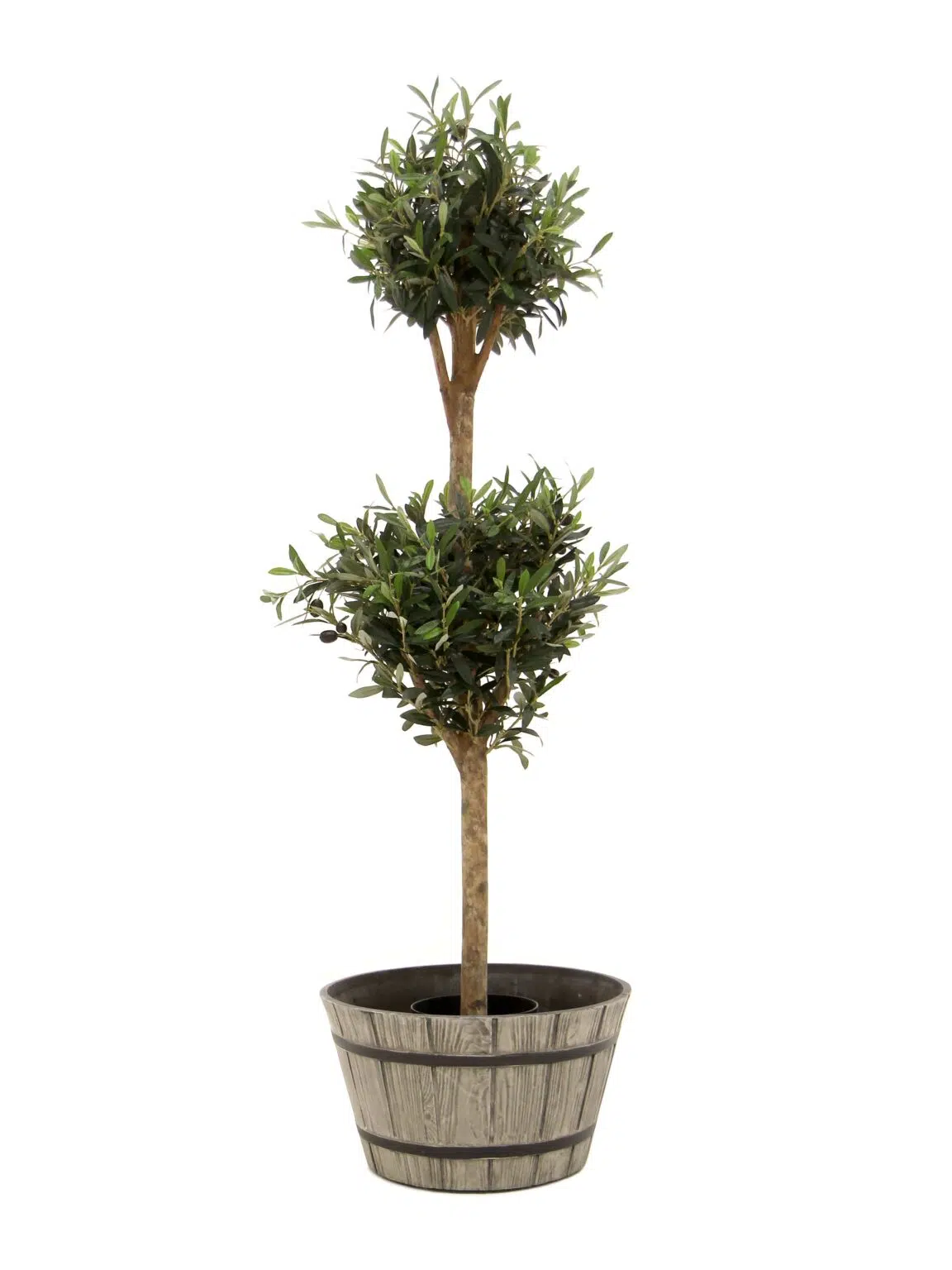 SN12057 _Olive Double Ball Tree__08223_optimised