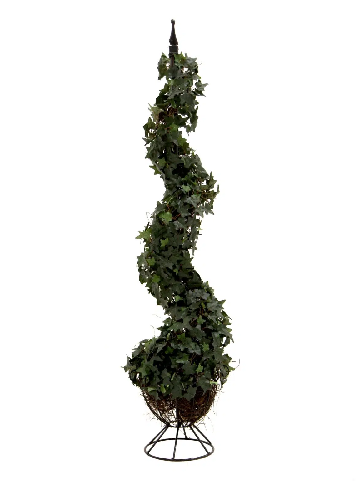 SN12063_Ivy Spiral Tree - 4ft__08239_optimised