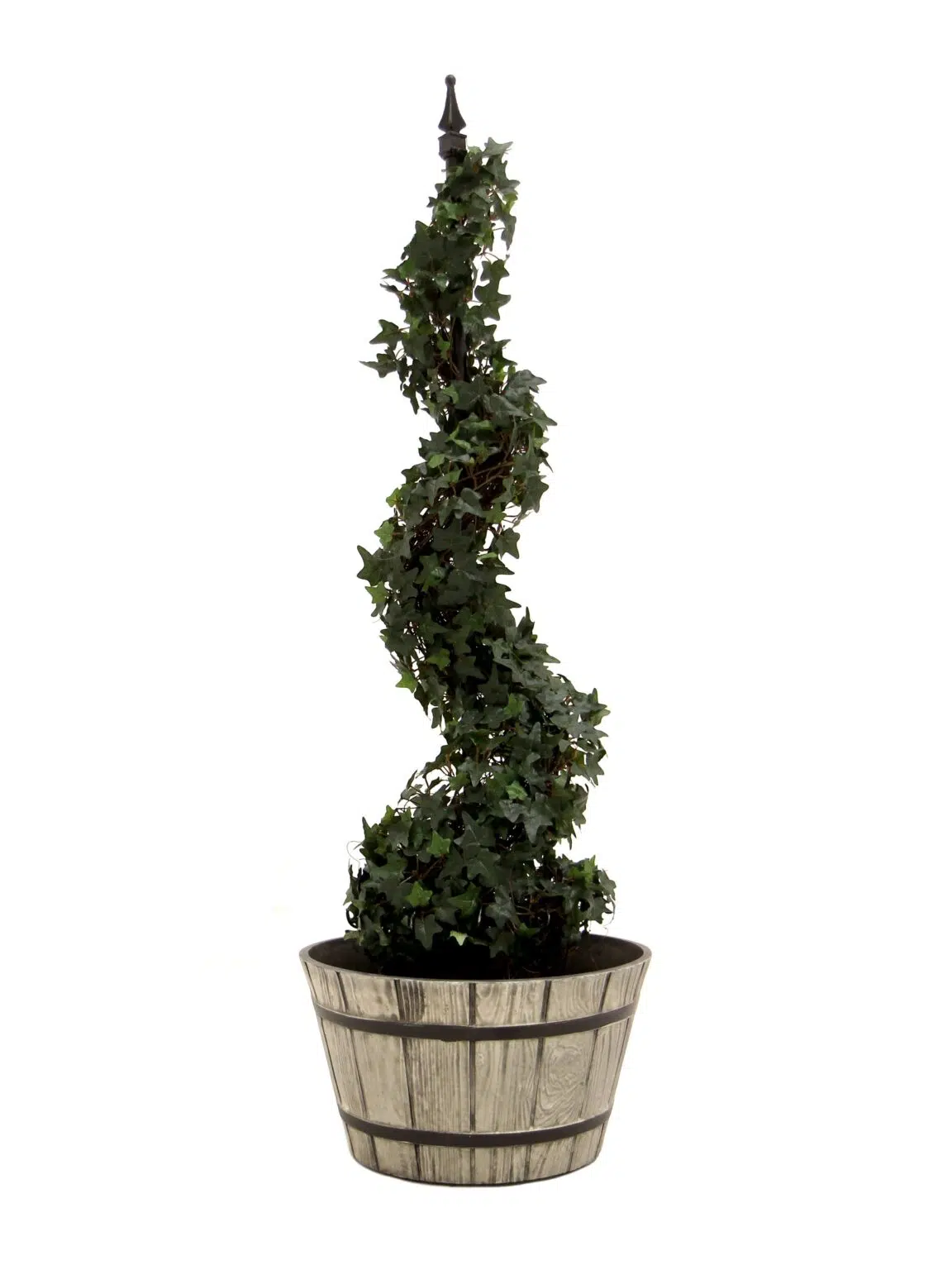 SN12063_Ivy Spiral Tree - 4ft__08242_optimised