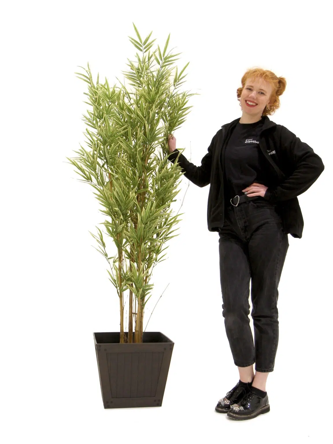 SN12065_Royal Bamboo Tree - 5ft__08209_optimised