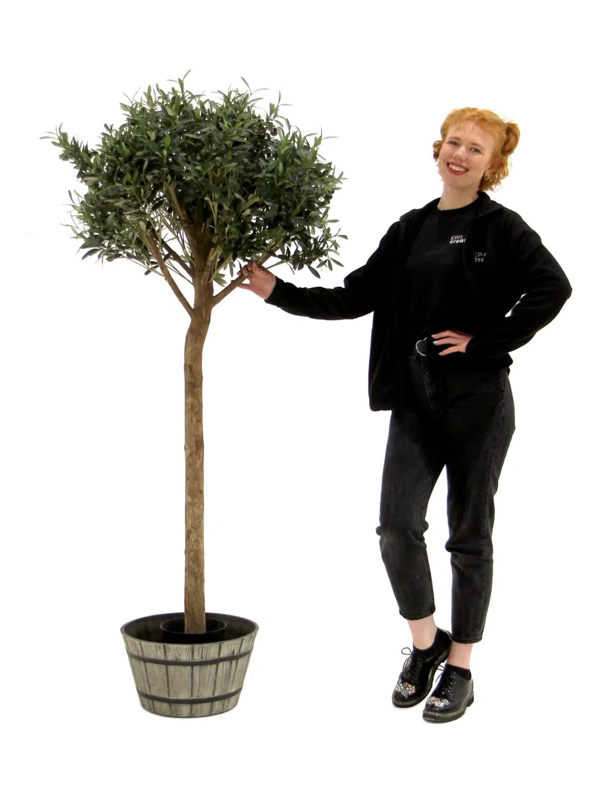 SN12073_Olive Tree - 5ft__08218_optimised