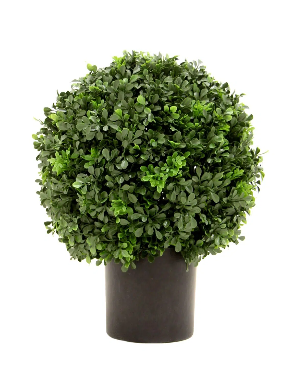 SN12075_Topiary Boxwood Ball - Medium__08253_optimised
