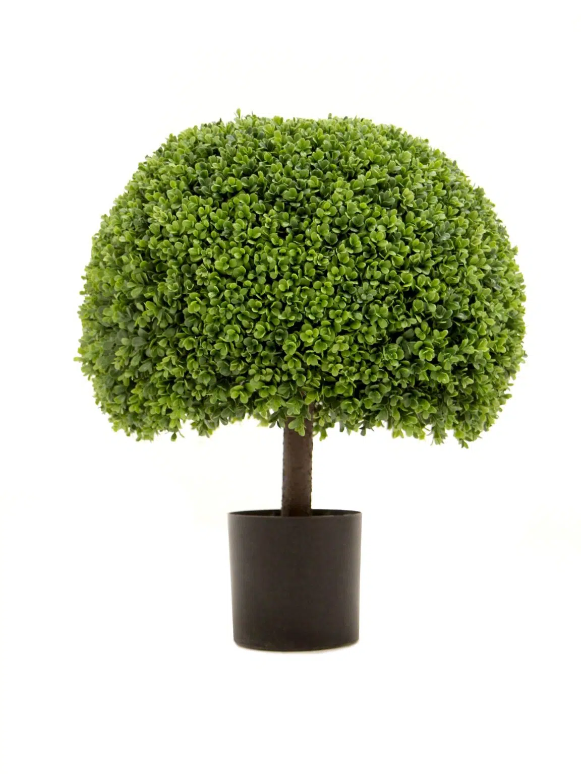 SN12081_Topiary Boxwood Ball - Large_event_prop_hire_EPH_Creative_006_optimised