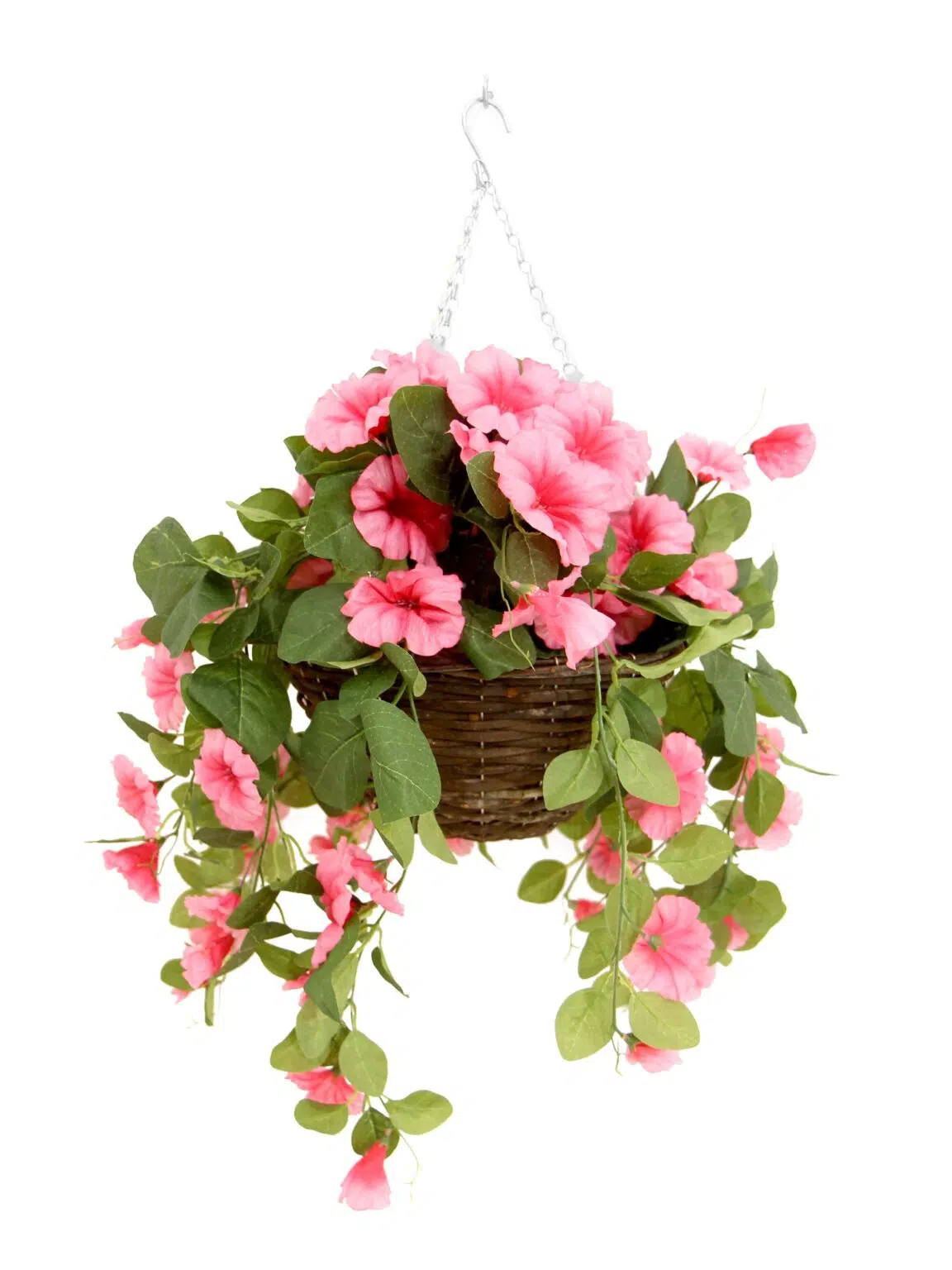 SN12112 _Petunia Hanging Basket - Hot Pink_event_prop_hire_EPH_Creative_148_optimised