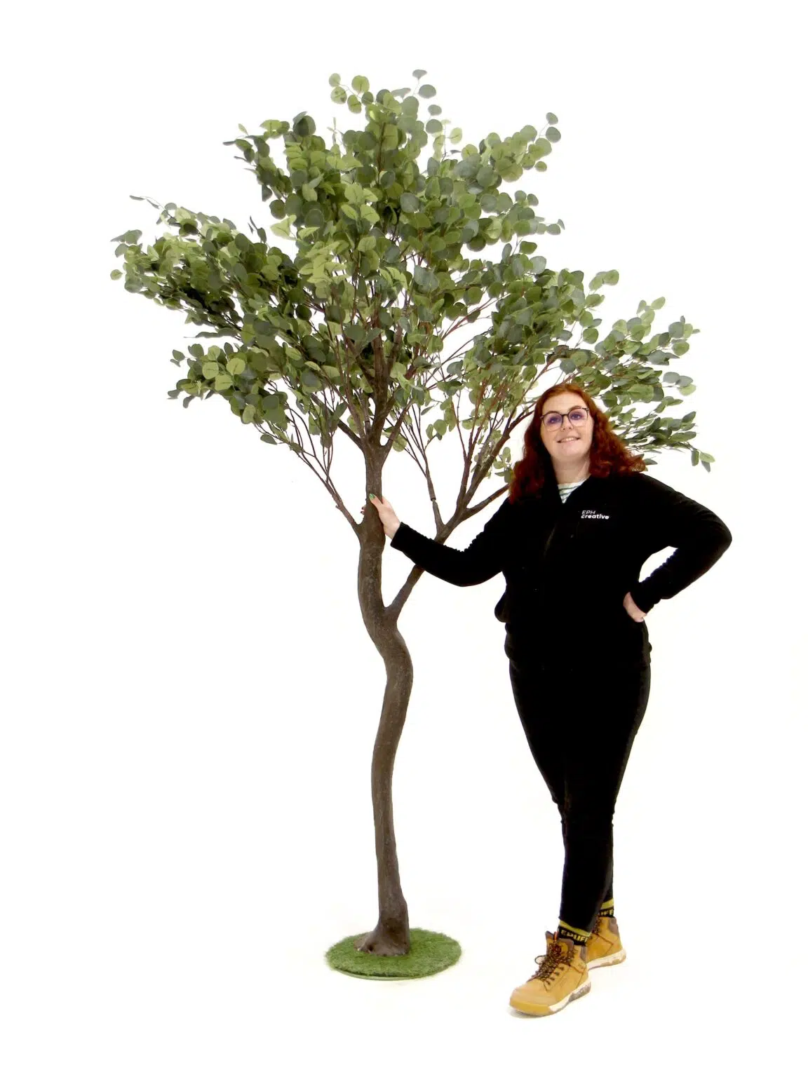 SN9320 _Y-Shaped Tree (2.7m) - Eucalyptus__07052_optimised