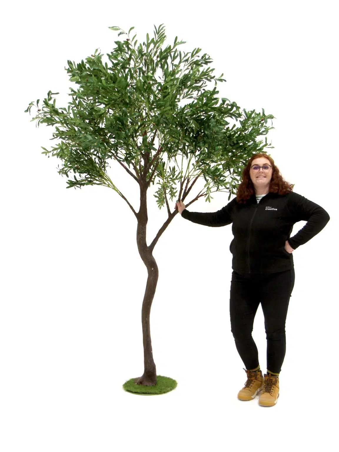 SN9321 _ Y-Shaped Tree (2.7m) - Olive__07058_optimised