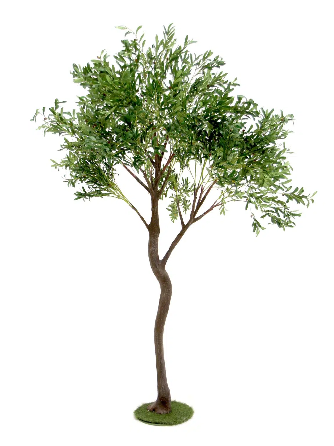 SN9321 _ Y-Shaped Tree (2.7m) - Olive__07062_optimised