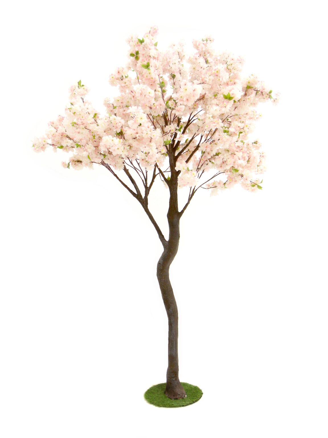 SN9322_Y-Shaped Tree (2.7m) - Pink Blossom__07067_optimised
